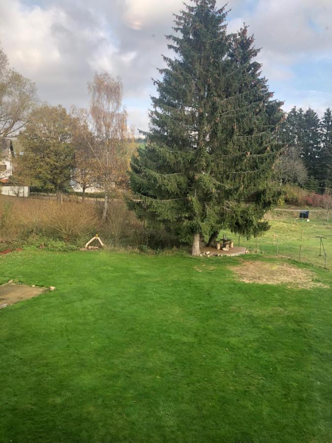 Villa Haus Schneider Kätchen Deudesfeld Exterior foto